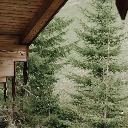 Hubertus - 4*