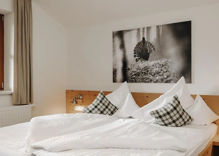 Hubertus - 4*